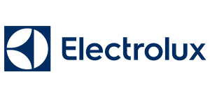Boston Electrolux repair
