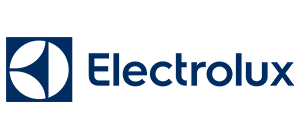 Boston Electrolux repair